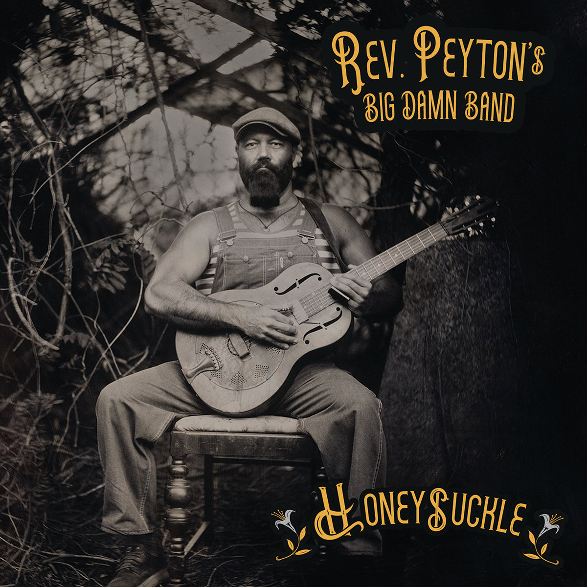 Honeysuckle (CD) – Big Damn Band