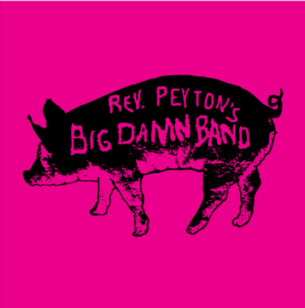 Pig T-Shirt (Ladies)